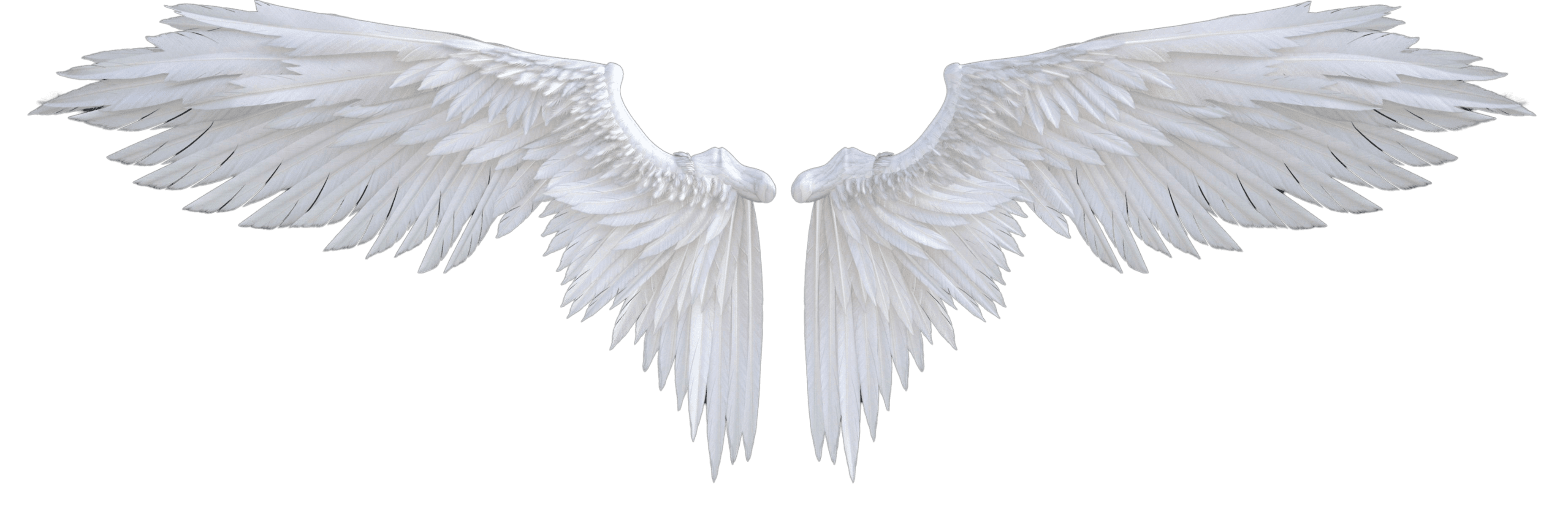 Wings